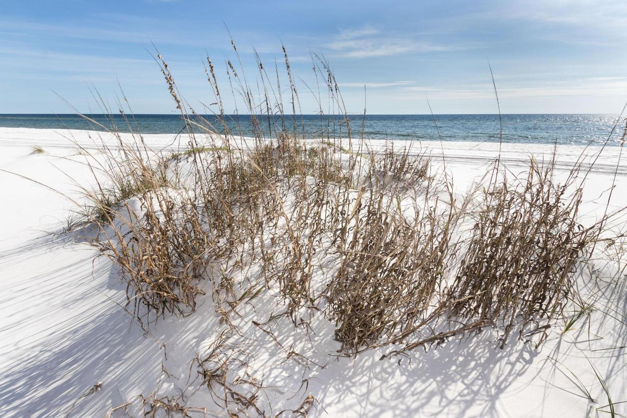 Nautilus 1201 - Gulf Front 2 Bedroom Huge Wrap Around Balcony 2Nd Floor! Fort Walton Beach Esterno foto