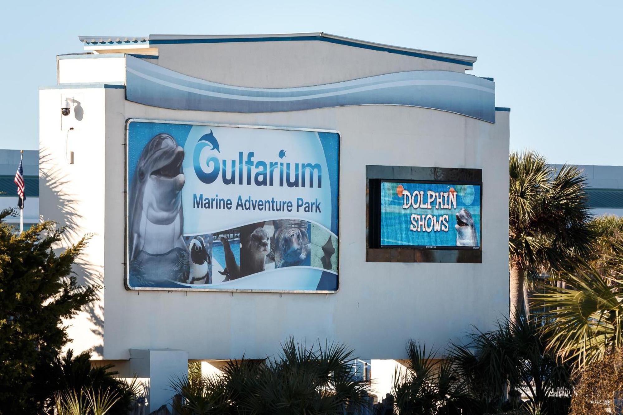 Nautilus 1201 - Gulf Front 2 Bedroom Huge Wrap Around Balcony 2Nd Floor! Fort Walton Beach Esterno foto